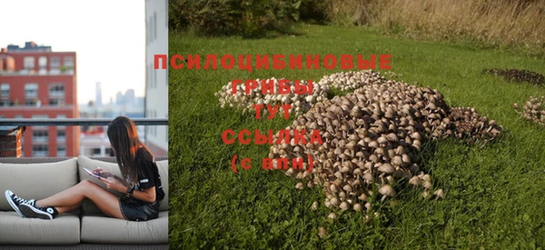 2c-b Баксан