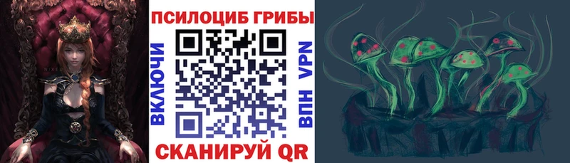 KRAKEN зеркало  Вольск  Галлюциногенные грибы Magic Shrooms 